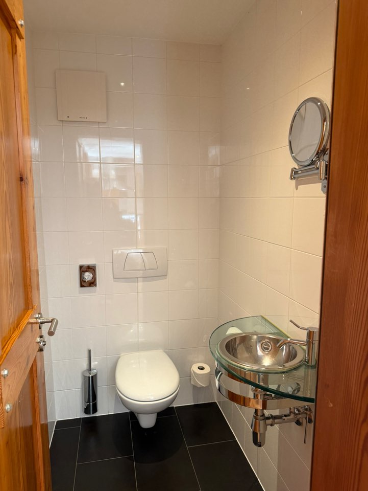 체르마트 스위트네호텔 주르브리겐 스위트룸 샤워공간과 분리된 화장실 공간